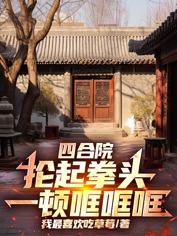 四合院抡起拳头一顿哐哐哐